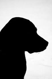 Maybe you would like to learn more about one of these? Die 76 Besten Ideen Zu Hunde Silhouette Hunde Silhouette Hunde Hund Zeichnen