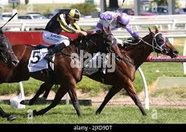 Jockey Jake Noonan (right) riding Prussian Vixen, wins Race 9, the  mypunter.com Bellmaine Stakes, during the C.F. Orr Stakes Family Day at  Caulfield Racecourse in Melbourne, Saturday, February 10, 2018. (AAP  Image/David