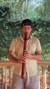 Image result for Manostachya