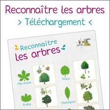 Epingle Sur Telechargement