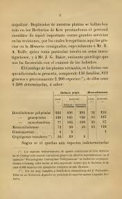 Image result for Pittosporum fulvotomentosum