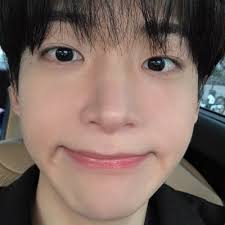 sam ☯︎ 🍇 (@hanpopvity)