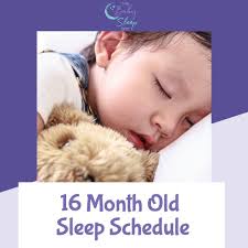16 Month Old Sleep Schedule: Sleep Through the Night and Naps
