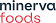 Logo de Minerva Foods Vendedor