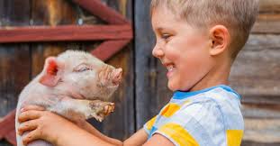 Farm Holiday Cottages To Rent & Working Farm Holidays