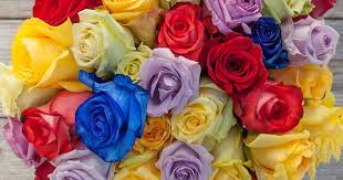 In fact, due to the severe restrictions of victorian society, an entire language in flowers was developed so that senders could express feelings and emotions through colorful coded messages. Roses Different Colors And Their Meanings Foreign Policy