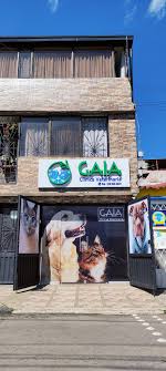 VETERINARIA GAIA