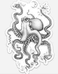 Pin By Sam Elberg On Art Octopus Drawing Octopus Tattoo Octopus Tattoo Design