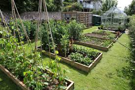 Vegetableplot Countrygarden Allotment Southhams Devon Southwest Garden Layout Vegetable Garden Design Country Gardening