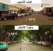 مواضيع جذابة الصفحة الرئيسية فيسبوك