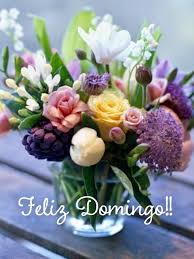 Feliz Domingo Feliz Dia Domingo Sunday Happy Sunday Happy Day Que P Feliz Domingo Feliz Dia Domingo Sunday Happy Sunday Happy Day Q In 2020