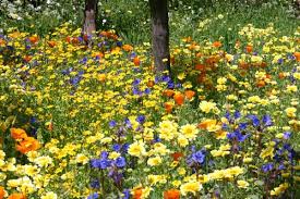 But are you having the same! Garden Design Wikipedia