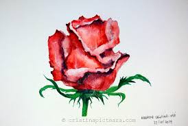 Un peisaj cu trandafiri in creion : Flori Pictate Trandafir Rosu In Acuarela Cristina Picteaza