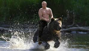 Resultado de imagen para oso ruso