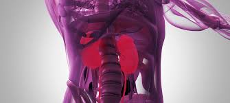 Surgical removal is the most common treatment, but. New Genetic Test Could Improve Treatment Of Children S Kidney Cancer Great Ormond Street Hospital