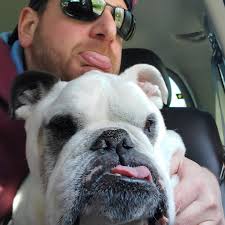 Lowering springs and towing capacity?