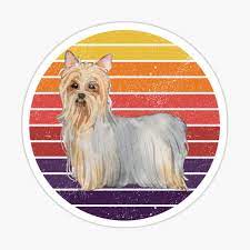 Beach themed furniture australian terrier. Australian Terrier Gifts Merchandise Redbubble