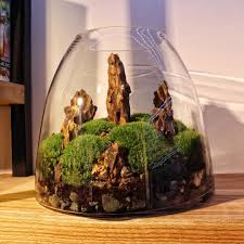 Moss Dragon Stone 45cm Teraryum Terrarium Decor Moss