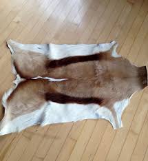 Springbok Skin Flat Skin Rug African Animal Skin Springbok Springbok Hide South Africa Tanned Hide Taxidermy Lea Skin Rugs African Animals Animal Skin