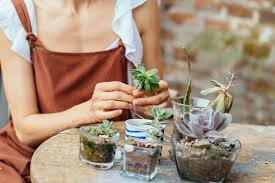 En caso de dañar alguna raíz en este procedimiento, te recomendamos aplicar carbón vegetal en polvo y dejar de regar durante diez días. Consejos Para Crear Un Minijardin Mejor Con Salud