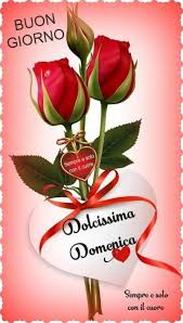 Buona Domenica Amore 3 Anemone Happy Mothers Fathers Day