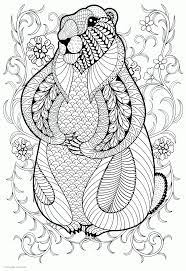 Coloring book for adults cindy elsharouni 4.7 out of 5 stars 19,837 Adult Coloring Book Pages Animals Coloring Pages Printable Com