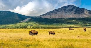 (only british columbia is farther west) it includes parts of the canadian rockies and is known for its oil and natural gas fields and cattle farming. Top Things To Do In Northern Alberta Travel Top 6