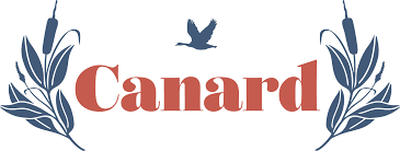 نتیجه جستجوی لغت [canard] در گوگل