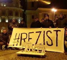 Image result for proteste cu rezist