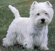 Pin On Cute Pics