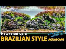 Beans are sacred for brazilians. Brazilian Style Aquascape Step By Step With Eng Subs Youtube