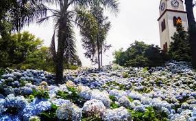 Além de um aumento nas temperaturas, outubro também marca o início do maior natal do mundo! Tempo Em Gramado Guia Mes A Mes Para A Sua Viagem