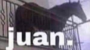 Apr 28, 2021 · comedian juan joya borja, popularly known as 'el risitas,' died in seville, spain. Juan Horse On Balcony Know Your Meme