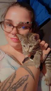 Lost Cat Bischoff in Alexandra Hills, Queensland