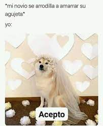 Pin De Alejandro Mendez En Memes En Espanol Memes Divertidos Memes Buenisimos Memes