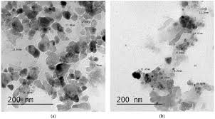 Musavat was founded in 1911 in baku as a secret organization by mammed amin rasulzade, mammed ali rasulzade (his cousin), abbasgulu kazimzade, and taghi nagioglu.its initial name was the muslim democratic musavat party. Biomolecules Free Full Text The Antimicrobial Antioxidant And Anticancer Activity Of Greenly Synthesized Selenium And Zinc Composite Nanoparticles Using Ephedra Aphylla Extract Html