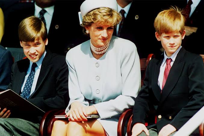 Can Prince Harry and Prince William Get Along for the Sake of the Princess  Diana Tribute? | Vanity Fair