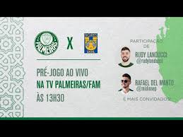 Dedicada a transmitir os jogos do palmeiras ao vivo. Bnbv0iisqjucmm