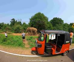 Get on the road with your tuktuk. Guide For Renting Tuktuk In Sri Lanka 2019 Tannedtravelgirl