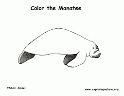 Free, printable mandala coloring pages for adults in every design you can imagine. Manatees Coloring Pages Coloring Home