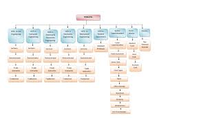 Organisation Chart Maharajas Technological Institute Thrissur