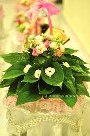 Tiada pengalaman dan tiada ahli keluarga yang pernah gubah. Sirih Junjung Wedding Gifts Sparkle Wedding Wedding Flowers