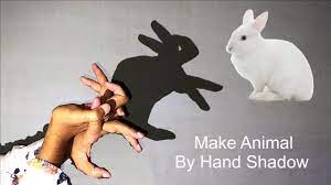 Bunny shadow puppet