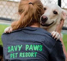 Paws & pals pet resort provides luxury dog boarding, doggy daycare, grooming, and transportation services for dogs in prior lake, savage, and lakeville. Boarding Savy Paws Pet Resort