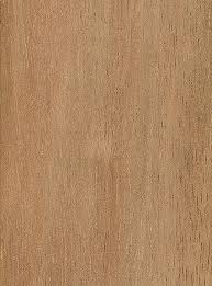 Light Red Meranti The Wood Database Lumber Identification Hardwoods Timber Merchants Timber Deck Plywood Texture