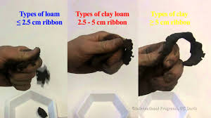 Soil Texture By Feel