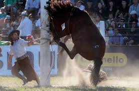 Последние твиты от league of legends: A Gaucho Prepares A Wild Horse For Riding During The Annual Celebration Of Criolla Week In Montevideo