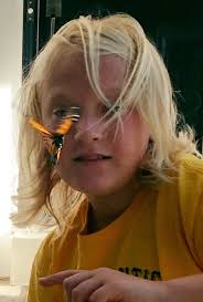 Monarch butterfly spotted in Evanston