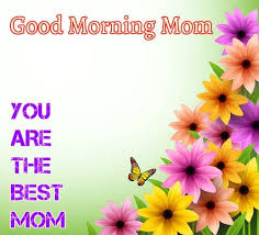 Spring Flower Beautiful Good Morning Mom Images Good Morning Wishes Good Morning Images Good Morning Images Download