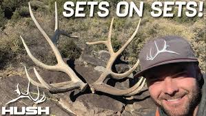 Brothers Find Scout to Hunt $10k Utah Shed